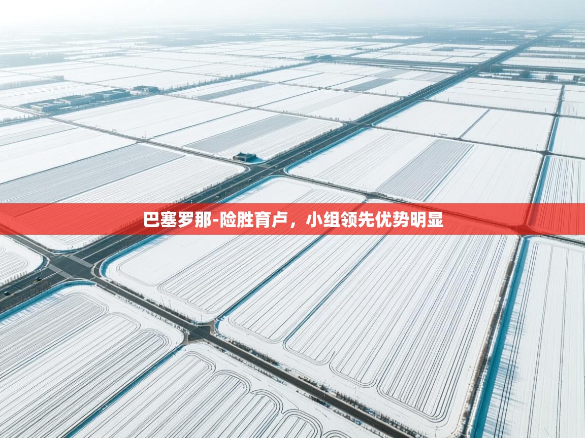 巴塞罗那-险胜育卢,小组领先优势明显 第2张