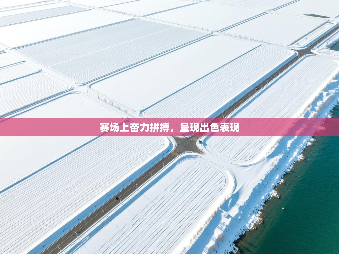 赛场上奋力拼搏，呈现出色表现