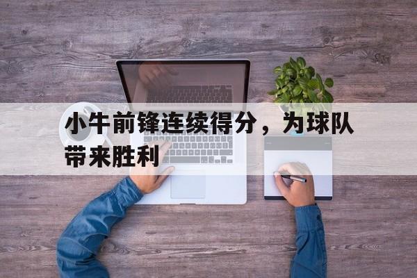 爱游戏app下载-小牛前锋连续得分，为球队带来胜利